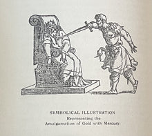 47834031