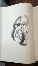 47719107