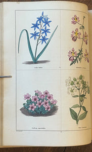 THE BOTANIC GARDEN - Maund, 1st 1826 (Vol II) - COLORED FLORAL BOTANICAL PLATES