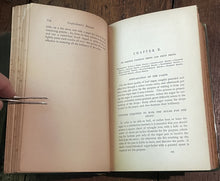 47282142