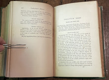 47282142