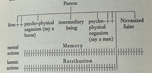47787388