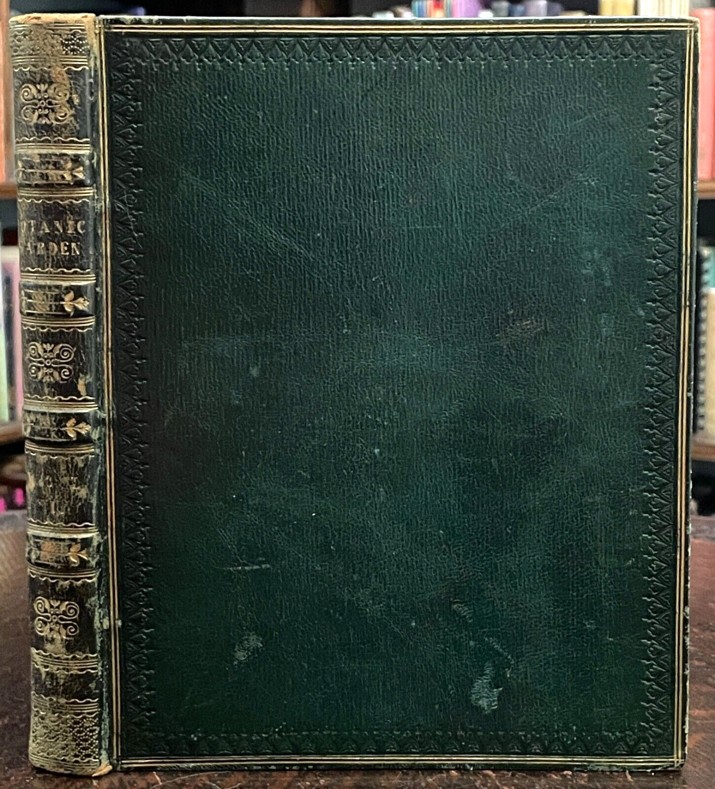 洋書 MAUND'S BOTANIC GARDEN VOL4 Schilb Antiquarian