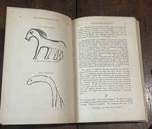 47847248
