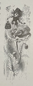 45313165