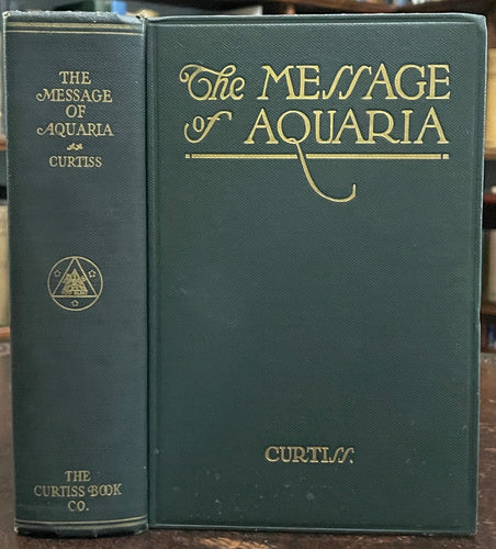 44485640