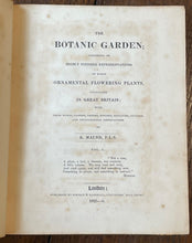 THE BOTANIC GARDEN - Maund, 1st 1826 (Vol I) - COLORED FLORAL BOTANICAL PLATES