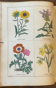 THE BOTANIC GARDEN - Maund, 1st 1826 (Vol II) - COLORED FLORAL BOTANICAL PLATES