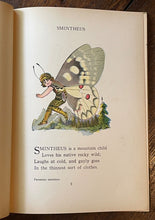 THE BUTTERFLY BABIES' BOOK - Gordon / Ross, 1st 1914 - BUTTERFLIES FAIRIES