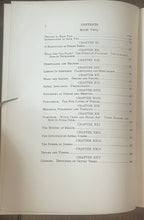 47861326