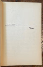44618507