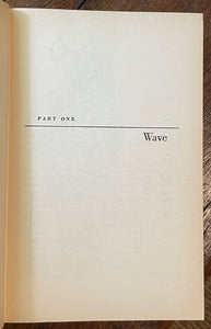 44618507