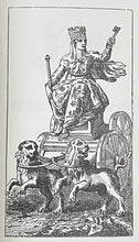 47817229