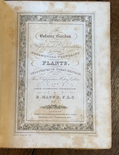 THE BOTANIC GARDEN - Maund, 1st 1831 (Vol IV) - COLORED FLORAL BOTANICAL PLATES