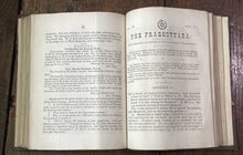 47501242