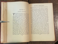 45313174