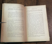47282142
