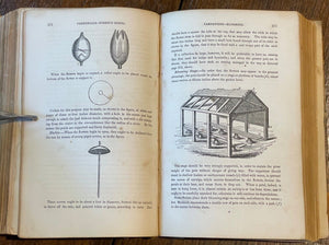 THE FLOWER GARDEN, 1839 - VICTORIAN BOTANICAL, FLORAL, HERBAL, DESIGN, GARDENING