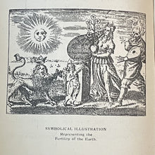 47834031