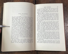 47816216