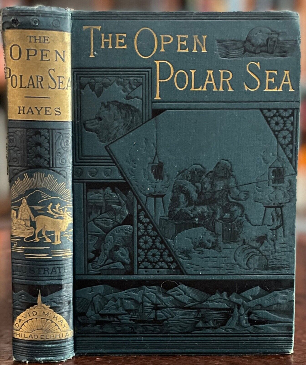 OPEN POLAR SEA - Isaac Hayes, 1885 - ARCTIC EXPLORATION TRAVEL, NORTH POLE