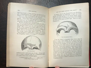 RAGNAROK: AGE OF FIRE AND GRAVEL, Donnelly, 1st 1883 VANISHED CIVILIZATION COMET