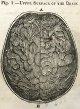 CONSTITUTION OF MAN - Combe, 1845 - PHRENOLOGY BRAIN MIND RELATIONSHIPS BEHAVIOR