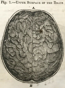 CONSTITUTION OF MAN - Combe, 1845 - PHRENOLOGY BRAIN MIND RELATIONSHIPS BEHAVIOR