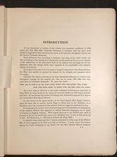 Sepher Maphteah Shelomo - BOOK OF THE KEY OF SOLOMON - Gollancz, Ltd 1st Ed 1914