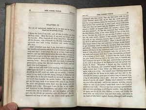 1848 THE AMBER WITCH - Meinhold WITCH TRIALS WITCHCRAFT LITERARY HOAX OCCULT