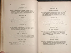 DOWN THE ISLANDS: A VOYAGE TO THE CARIBBEES, William A. Paton, 1st / 1st 1887