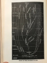 ARCANA OF NATURE - Tuttle, 1909 - PSYCHIC OCCULT SPIRITUALISM AFTERLIFE SPIRITS