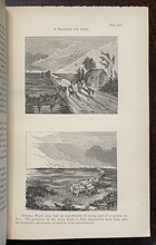 THE GENIAL SHOWMAN, LIFE OF ARTEMUS WARD - Hingston,  1880 COMEDY SHOWMAN HUMOR