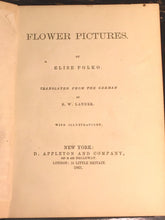FLOWER PICTURES, Elise Polko 1st/1st, 1861 Illustrated Flower Plant Meanings