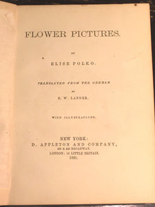 FLOWER PICTURES, Elise Polko 1st/1st, 1861 Illustrated Flower Plant Meanings