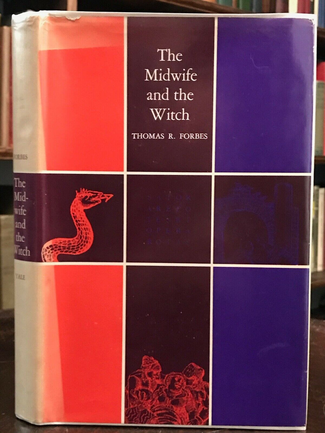 MIDWIFE AND THE WITCH - Forbes, 1st 1966 WITCHES WICCA MIDWIFE PREGNANCY BIRTH