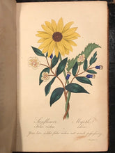 1835 - THE LANGUAGE OF FLOWERS - FREDERIC SHOBERL - Floral Engravings, Meanings
