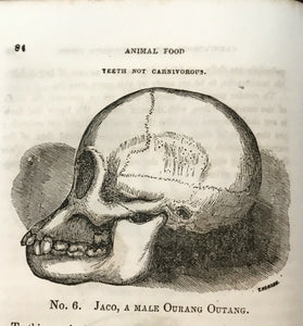 PHYSIOLOGY, ANIMAL AND MENTAL - Fowler 1855 - HUMAN & ANIMAL PHRENOLOGY HEALTH