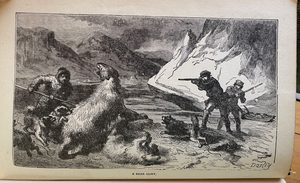 OPEN POLAR SEA - Isaac Hayes, 1885 - ARCTIC EXPLORATION TRAVEL, NORTH POLE
