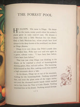 THE FOREST POOL - LAURA ADAMS ARMER - Stated 1st/1st HC/DJ 1938 - Very Scarce DJ