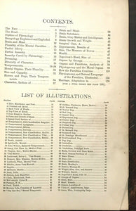 HEADS AND FACES  HOW TO STUDY THEM - Sizer, 1st 1885 PHRENOLOGY PHYSIOGNOMY