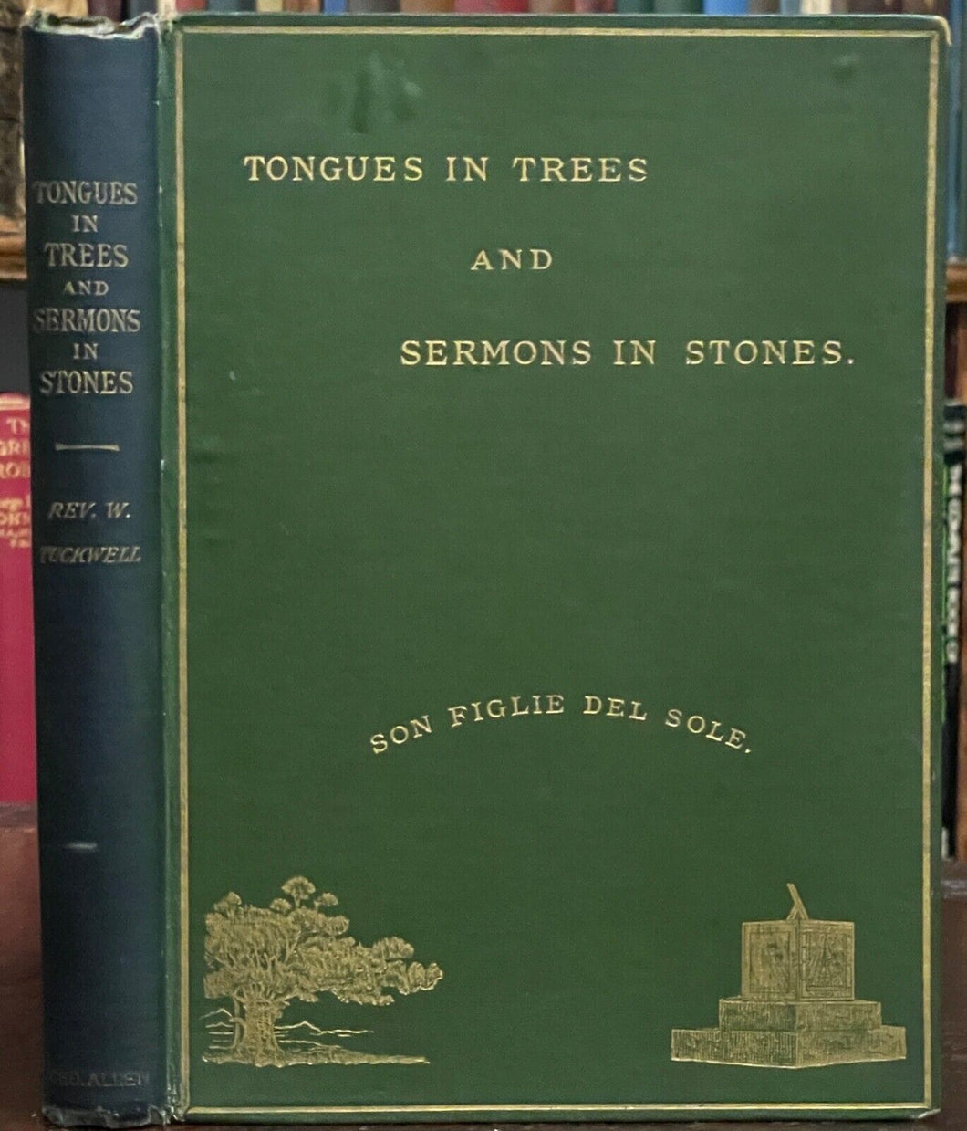 TONGUES IN TREES - Tuckwell, 1st 1891 - PLANT LORE FOLKLORE TREE NATURE WORSHIP