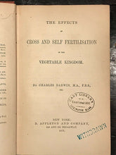 CROSS AND SELF FERTILISATION IN THE VEGETABLE KINGDOM - DARWIN, 1st US Ed 1877