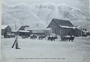 ALASKA - 1st 1907 - 24 PHOTOGRAVURE TIPPED-IN PLATES - INUIT NATURE, PEOPLES