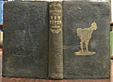 HISTORY OF HEN FEVER: A HUMOROUS RECORD - 1st Ed, 1855 RAISING CHICKENS POULTRY