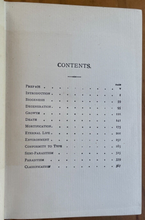 NATURAL LAW IN THE SPIRITUAL WORLD - Drummond, 1885 - ETERNAL SPIRIT SOUL