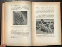 PHARAOHS, FELLAHS AND EXPLORERS - Edwards, 1st 1891 - ANCIENT EGYPT SITES BURIAL