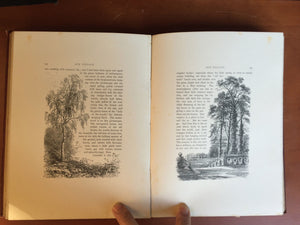 OUR VILLAGE by MARY R. MITFORD, 1st / 1st 1879 with 150 RARE Woodblock Prints