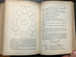 MODERN ASTROLOGY / ASTROLOGERS' MAGAZINE - Alan Leo ORIGINAL ISSUES for 1897