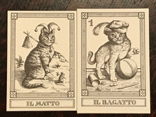 I GATTI (CATS) TAROT - OVALDO MENEGAZZI, LIMITED ED 669/2000 - MINT, 1st Ed 1990